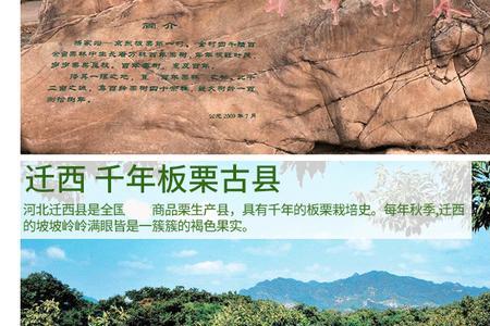 迁西板栗和遵化油栗哪个好