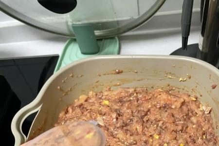 自制猫饭可以放调料吗