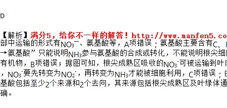 叶绿体中C5是核糖吗