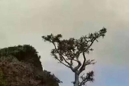 很容易抓不住机会的成语