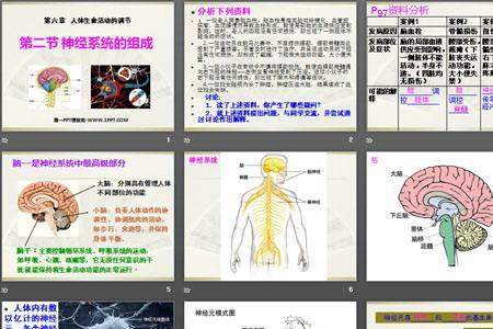 生命系统具有什么功能