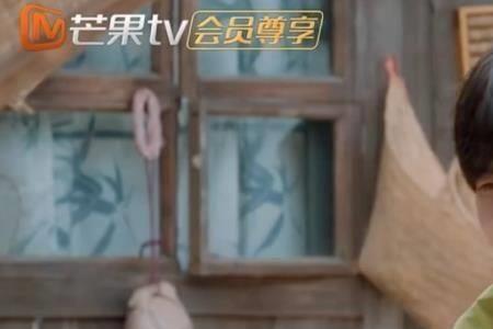 张远王栎鑫参加的综艺节目