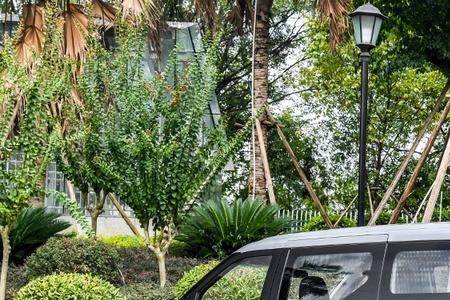 五菱征程属于哪类车