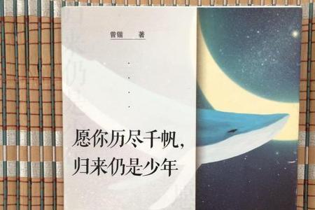 历尽千帆尽啥意思