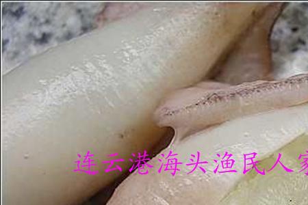 野生乌子鱼怎么分辨