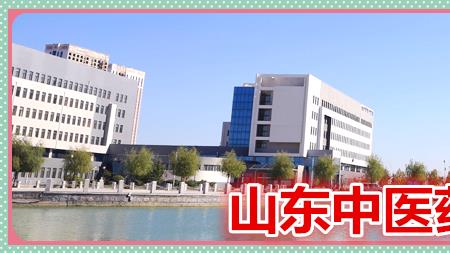 齐鲁医药学院承认国家学历吗
