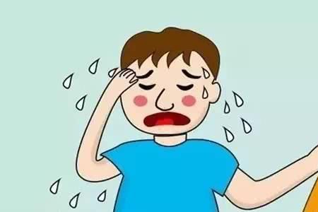 不会像人一样大汗淋漓的动物