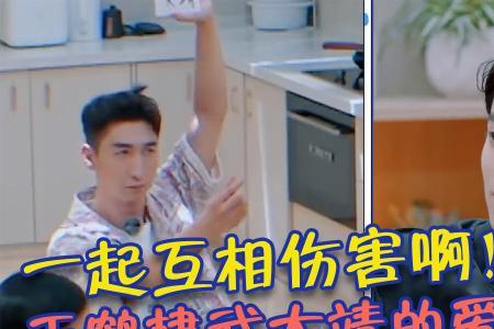 王鹤棣上桃花坞是张国立引荐吗