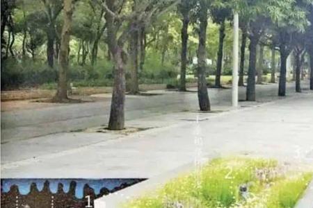全国海绵城市
