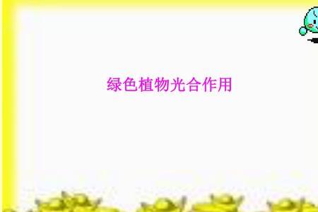 光合作用产生叶绿素吗