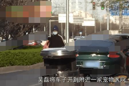 吴磊开车载人是什么综艺