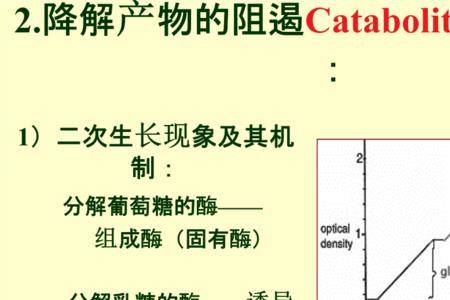 胶原降解产物是什么