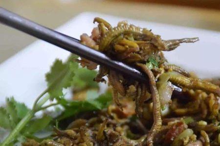 禾虫北方有吗