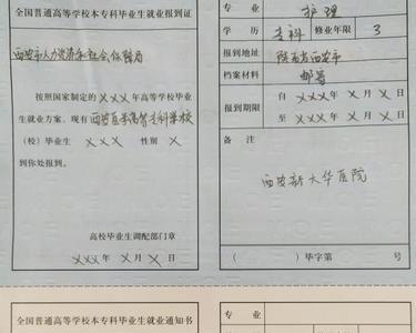 报到证的地址是分配到市还是县