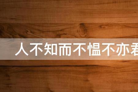 不与君子乎君子的意思