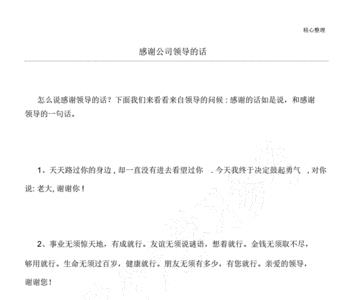 感谢甲方领导的话
