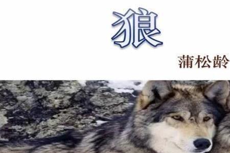 狼大是什么意思