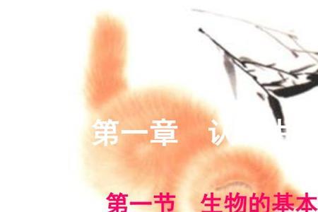 森林中的生物和非生物有哪些