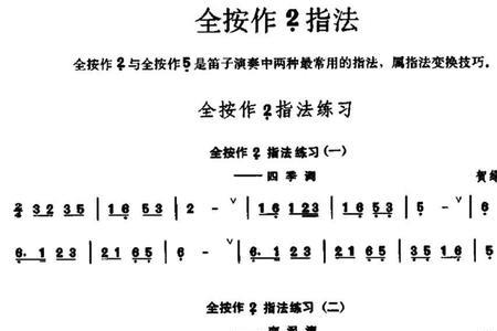 电子琴和笛子哪个好学