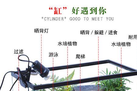 蹲鱼缸的正确方法