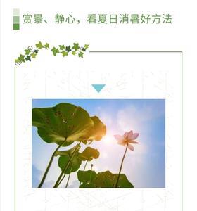 阵阵有词什么意思