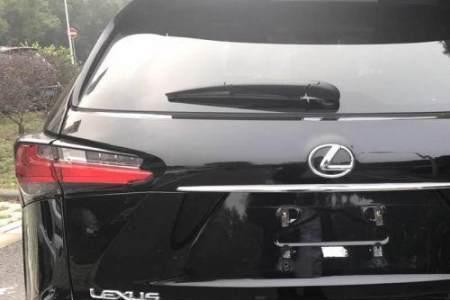 雷克萨NS200T是什么款车型