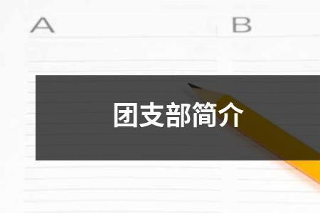 大学里的团总支是干什么的