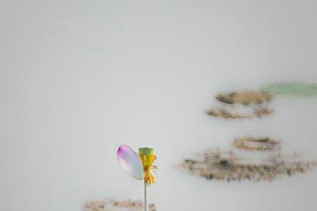 形容淤泥的成语