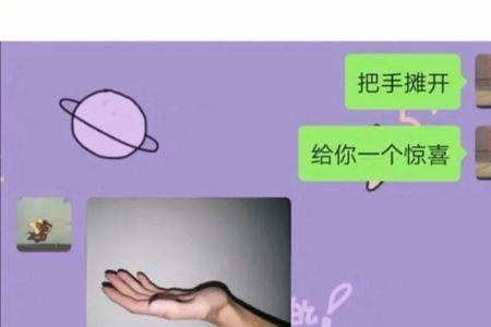 露出是什么意思网络用语