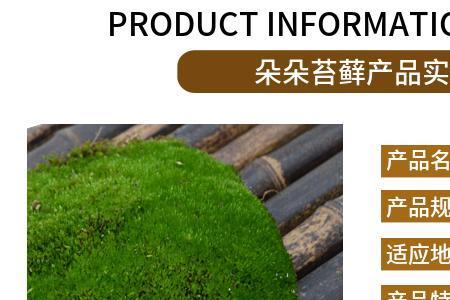 干苔藓用什么代替