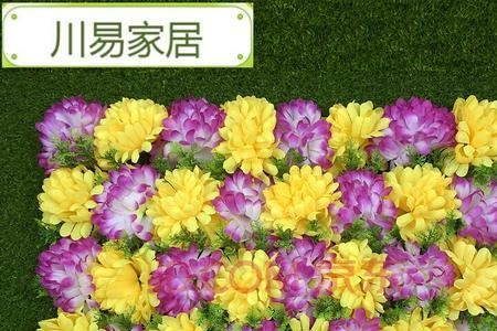 菊花为什么叫死人花