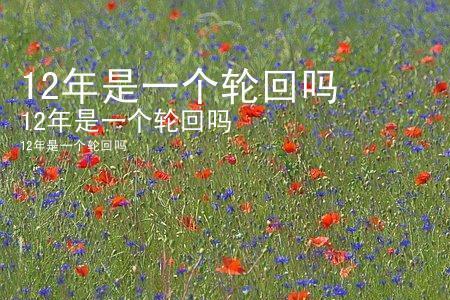 人生有几次轮回原唱