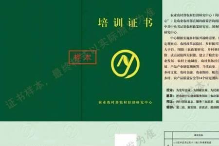 待业可以考注册规划师吗