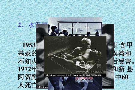 世界七大公害是什么