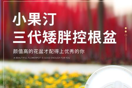 小果汀花盆和爱丽丝哪个好