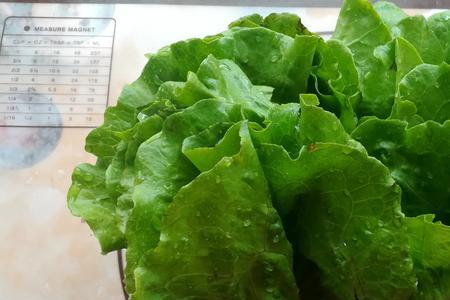 1升菜等于多少斤