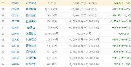 股票净利润是什么意思