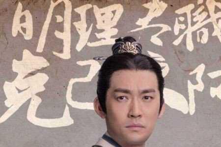 琅琊榜之风起长林飞流后人