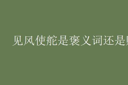 积极的贬义词