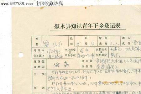 入团资格表怎么弄