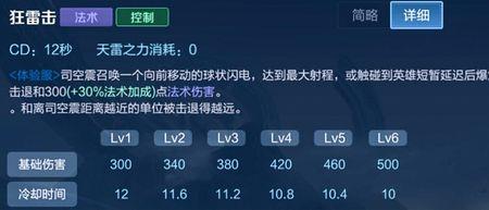 闪电奔雷拳是什么功法