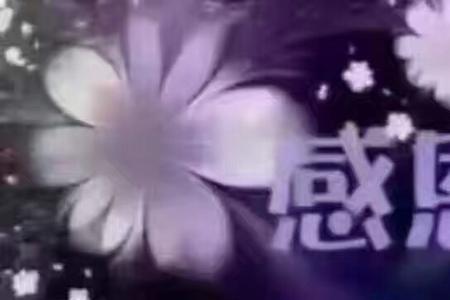 感恩相遇什么意思