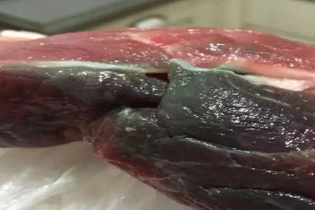 香猪肉有股异味是怎么回事