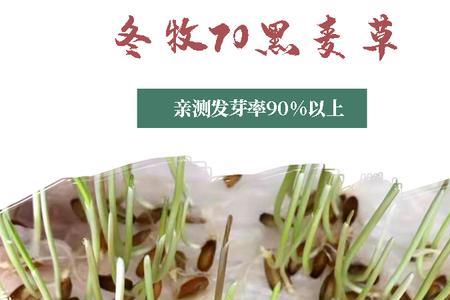 四倍体种子是什么意思