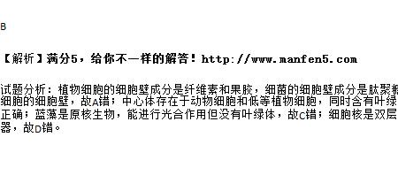 无中心体的低等植物