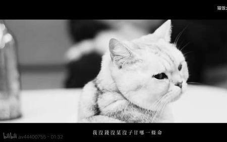 浪子回头的人有多可怕