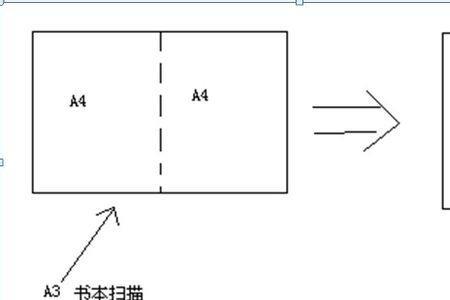 a3纸有几个a4纸大