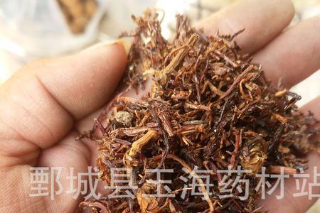 紫苑和紫菀茸区别