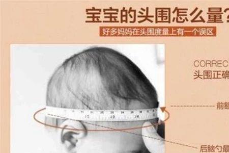 月子里宝宝头围大小标准