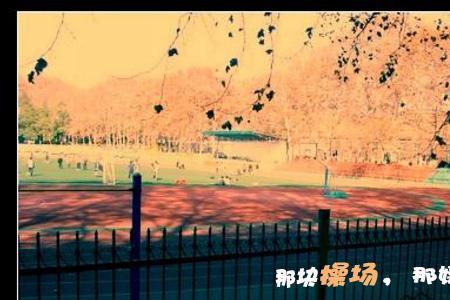 青涩时光用什么形容词